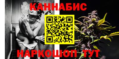 стаф Бузулук