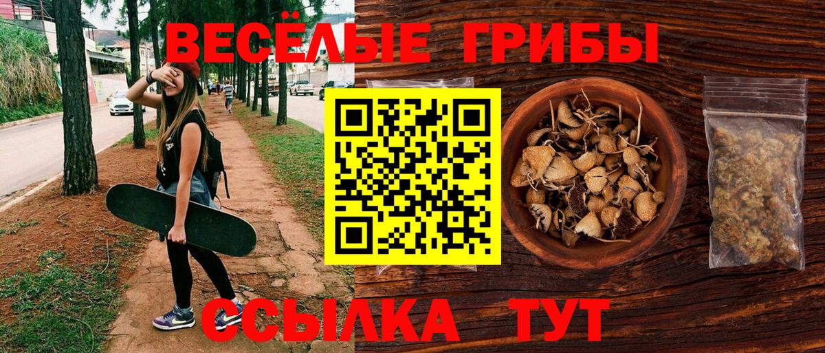Галлюциногенные грибы Psilocybe Топки