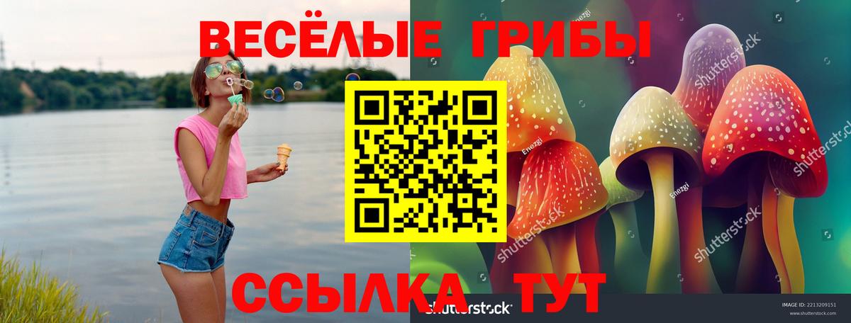 Галлюциногенные грибы Psilocybe  Вход с VPN  Топки 